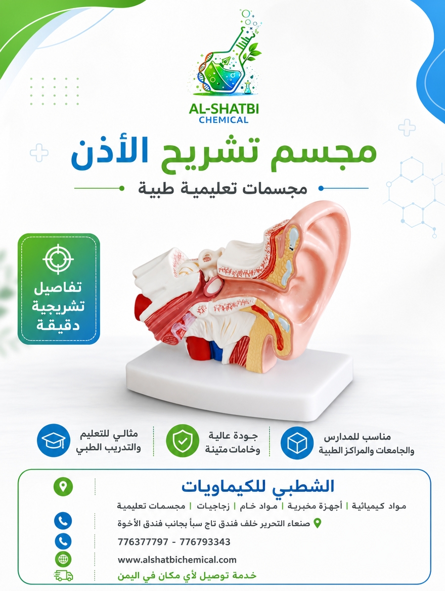 مجسم الاذن